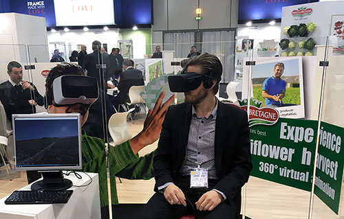 Addviso - Prince de Bretagne - Une jolie idée - Agence de réalité virtuelle - Production de photo sphérique et de vidéo 360°